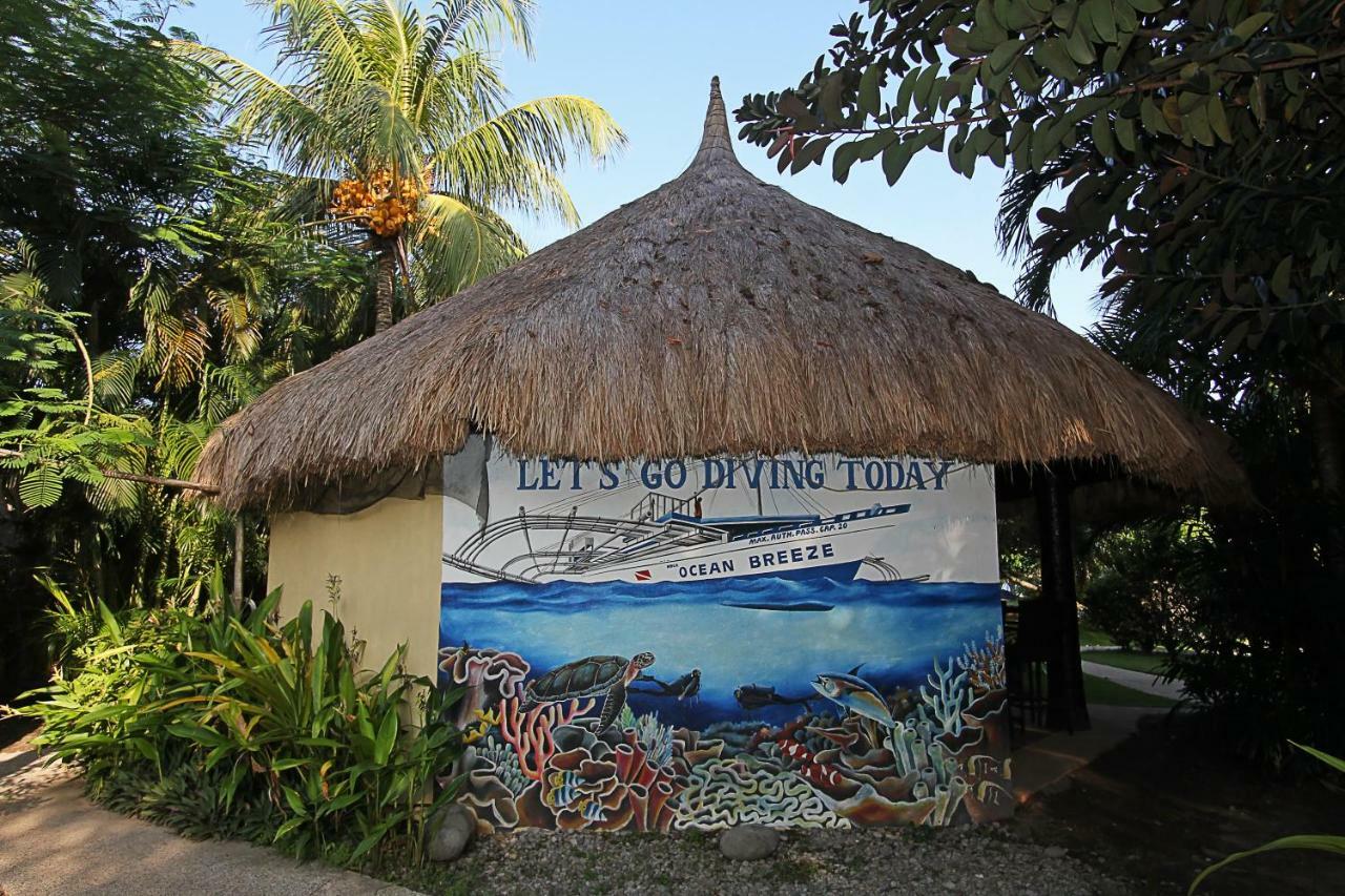 Thalatta Resort Zamboanguita  Ngoại thất bức ảnh
